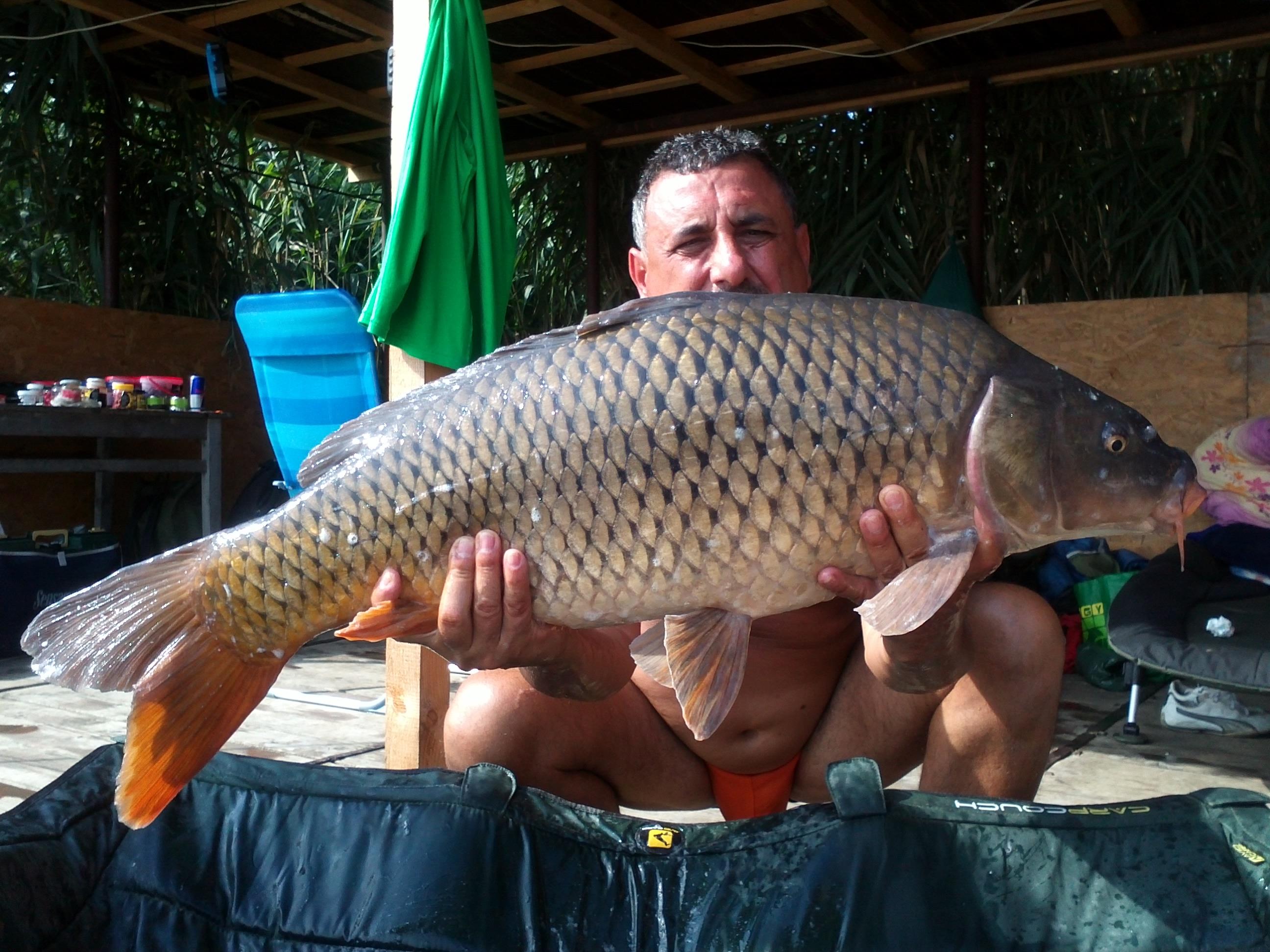 ceva pesti prinsi de mine - 292.jpg